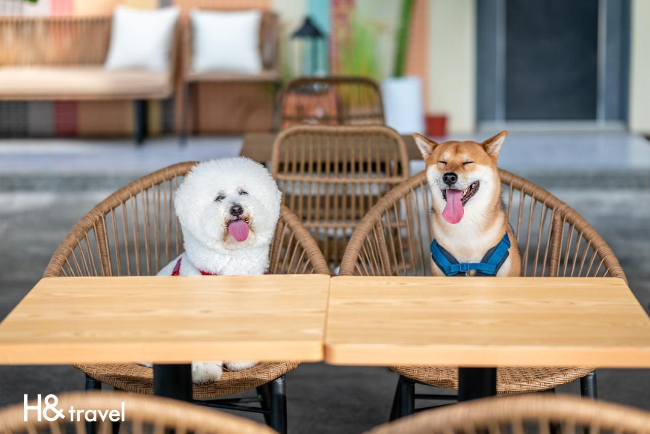 Taitung Rainbow Pet Friendly Maison Resort Exterior foto